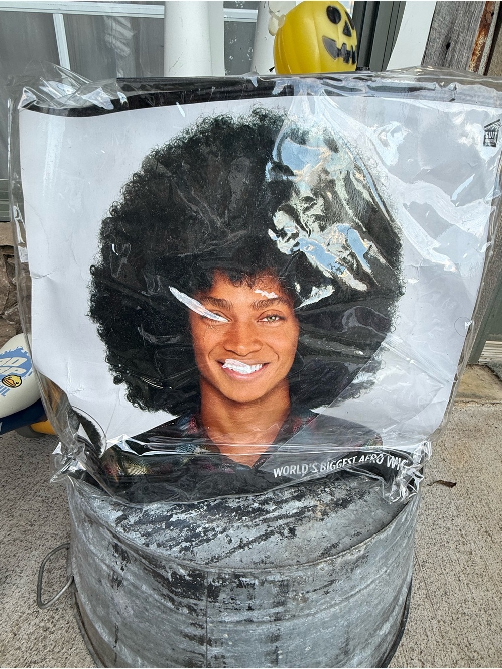 Voluminous Black Afro Wig — Women Hair Wig